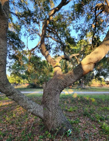 kenzielynn star nice photos