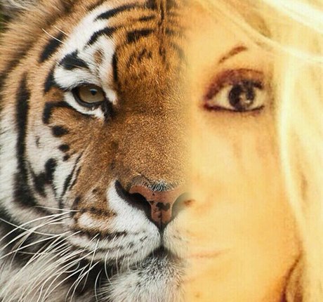 Gatina 22 model sex image