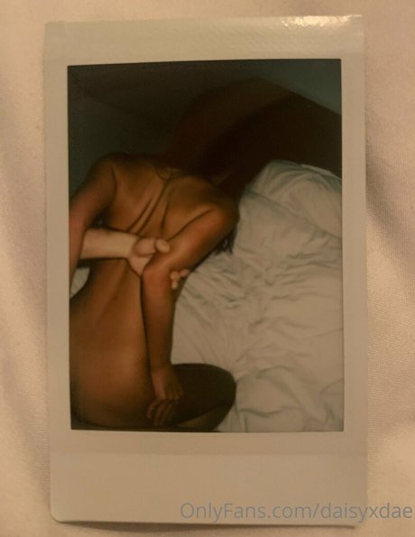 daisyxdae naked pornstar images