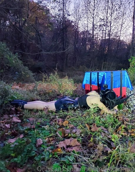 mewmewkarifree pornographic actress galleries