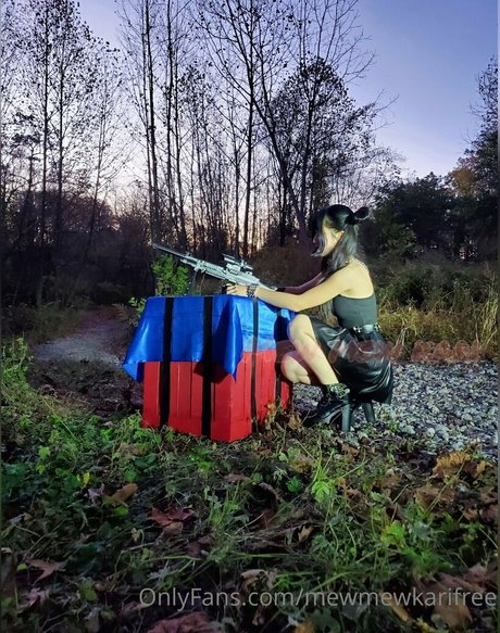 mewmewkarifree model best archive