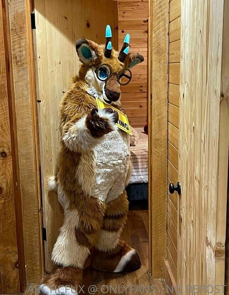 arcticfux top pornstar galleries