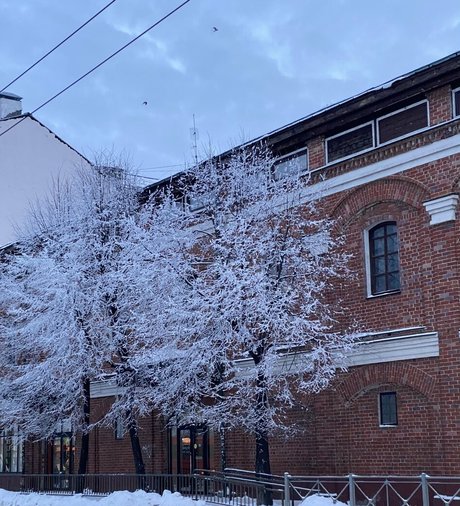 sweetmossy nudes star pic