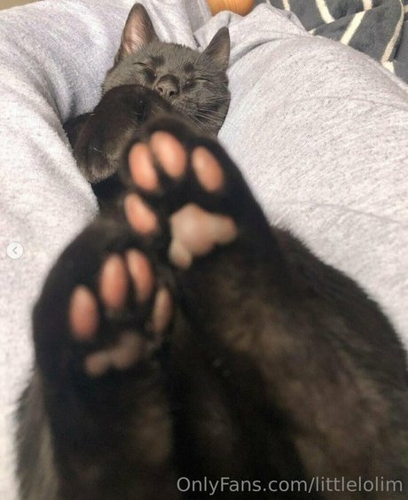 littlelolim star naked image