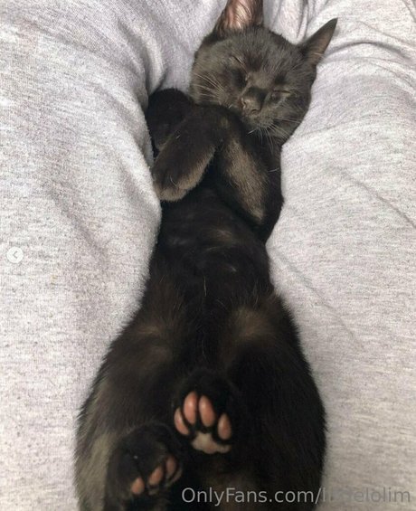 littlelolim profile pic