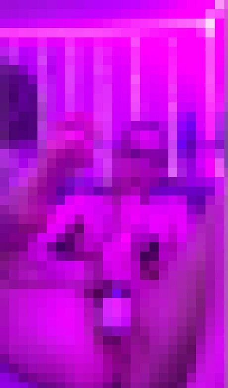 lexiveefree sex actress pictures