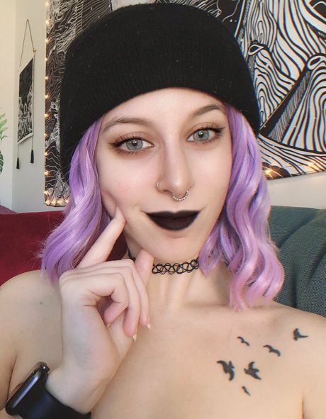 lexiveefree star beautiful picture