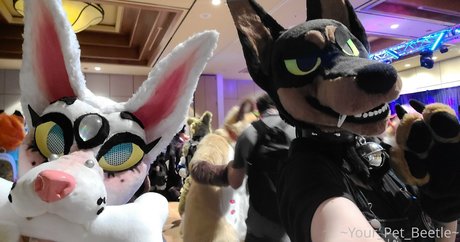 college slut onlyfans sexy xxx archive