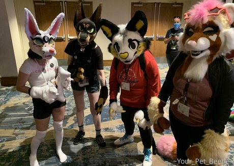 strwbrryinsides nude pornstar archive