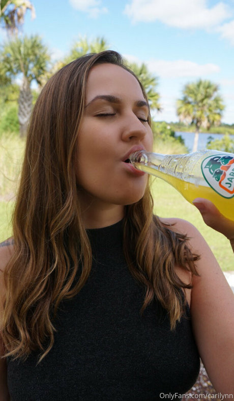 carilynn pornstar top image