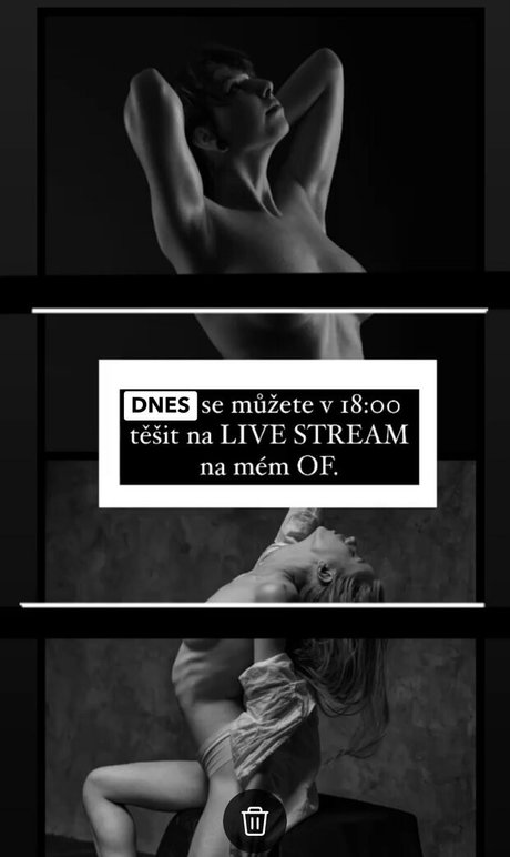 pgraphyfree star pretty photo