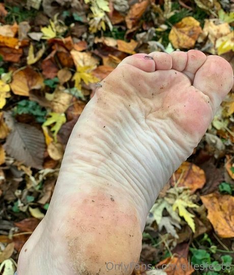 ellesfeet8 star sex galleries