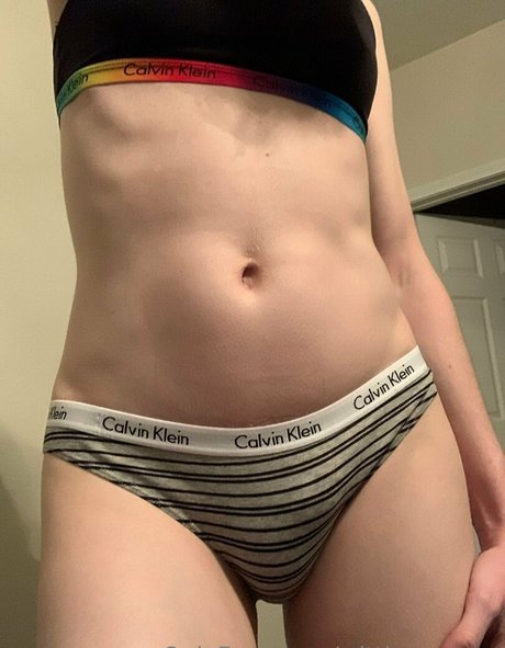 wittlesparrow star free picture