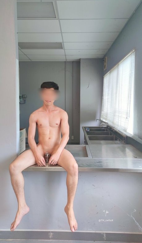 th cellox star high quality picture