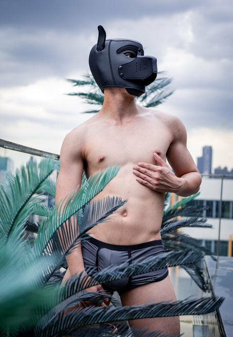 th cellox pornstar free galleries