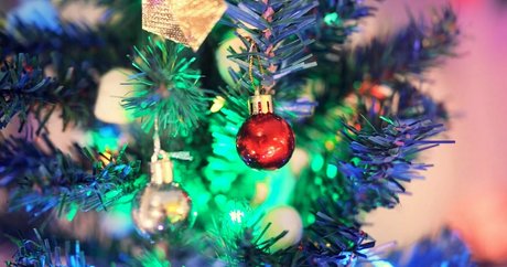 th cellox perfect pornstar images