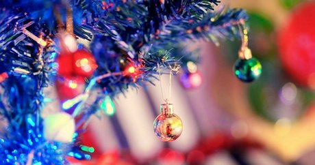 th cellox profile pic