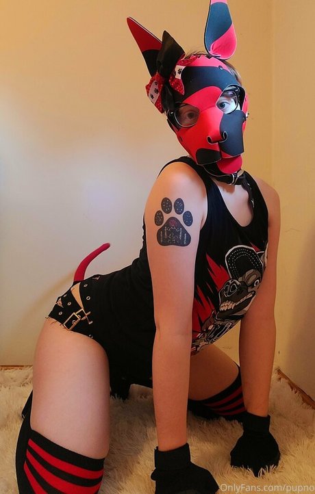 Kodi pup pornstar hot pics