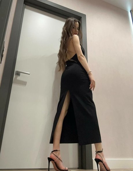 taanni star perfect archive