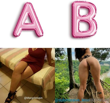 zinklyn star best galleries