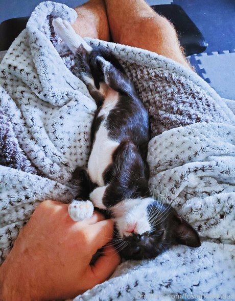 brown onlyfans hot naked photo