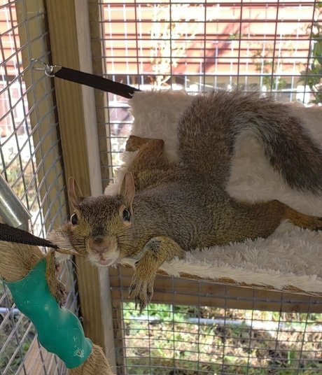 mikaylarainesfans sexy star image