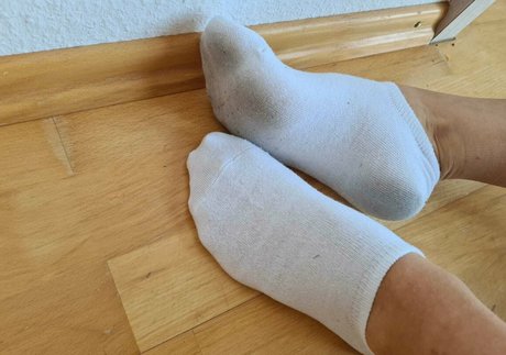 sarahs socks best star galleries