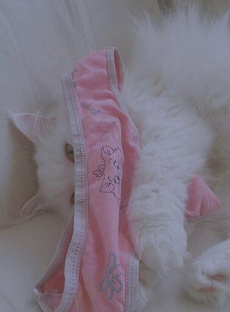 cutekatrin pornstar perfect archive