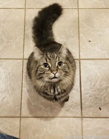 daraamber pretty pornstar pictures