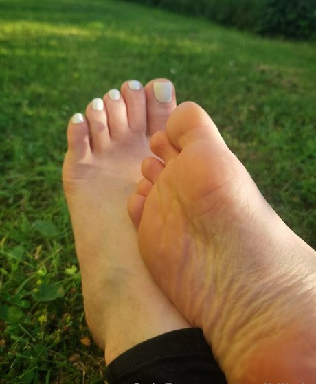 msdidikvip star nice gallery