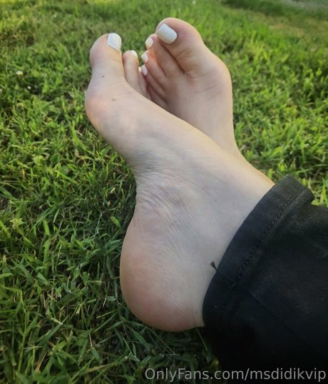 msdidikvip pornstar high quality image