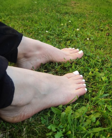 msdidikvip high quality star gallery