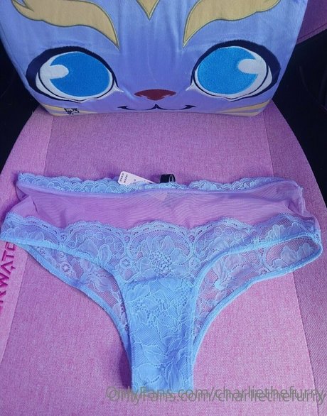 charliethefurry star beautiful archive