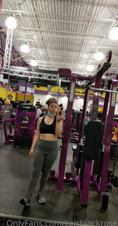 celsblackrose perfect pornstar img