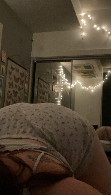 grungek1tten star nice pictures