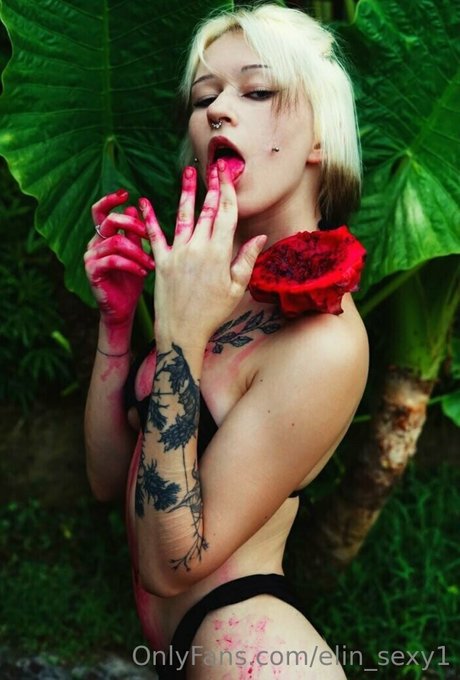 elin sexy1 pornstar perfect photos