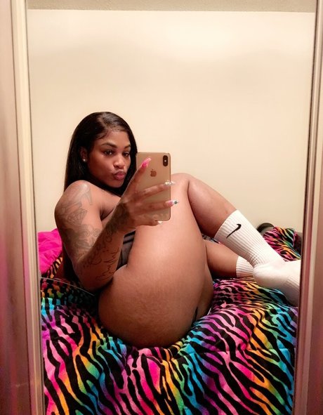 DimeBeracky best model image