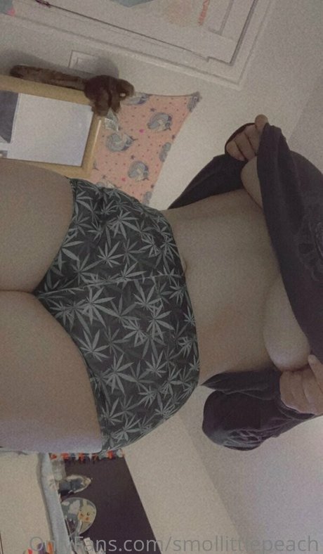 smollittlepeach star top photos