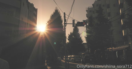 shiina sora712 pornstar pretty image