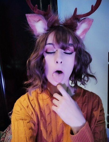 pityk cb nice model img