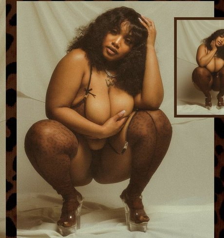 Oyastorms model high quality photo