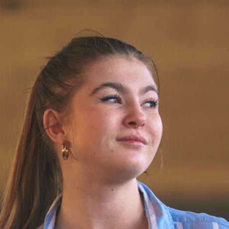 LifeWithMatilda nice star archive