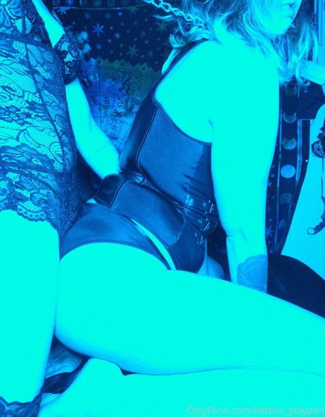 kittens playpen sexy star galleries