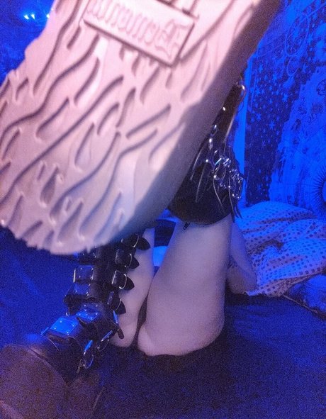 kittens playpen top model galleries