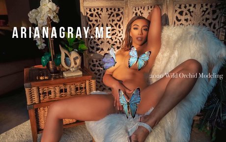 arianagrayfree sexy star img