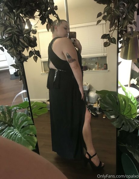 opalxo adult model images