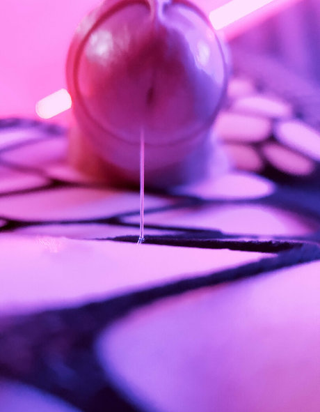 anniemxy model top img