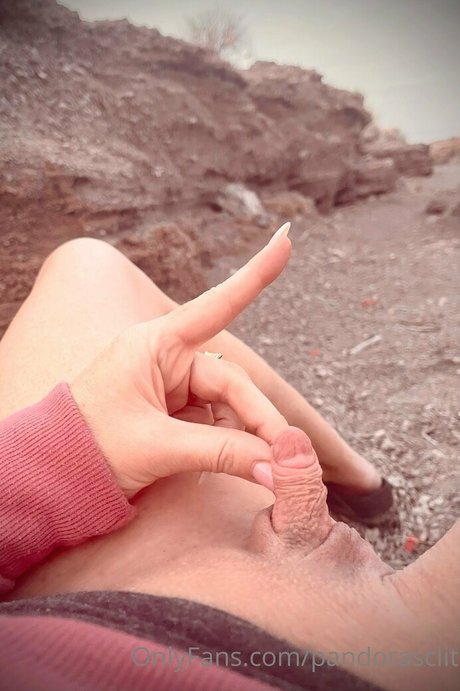 Pandorasclit thumbnail