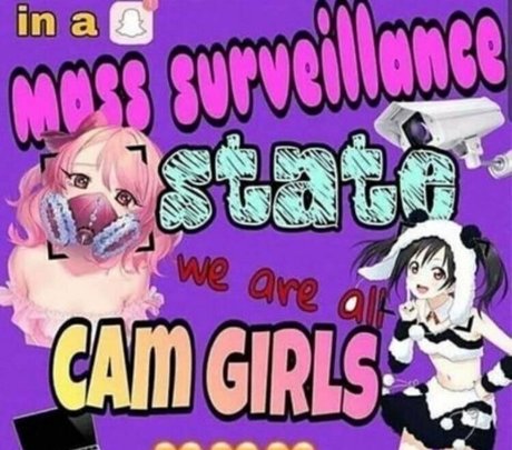 hammerheadneko star pornographic image