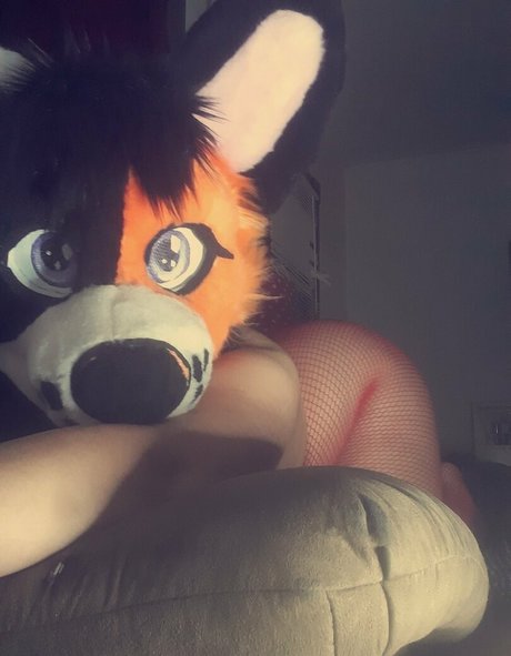 ddlove9 star erotic gallery